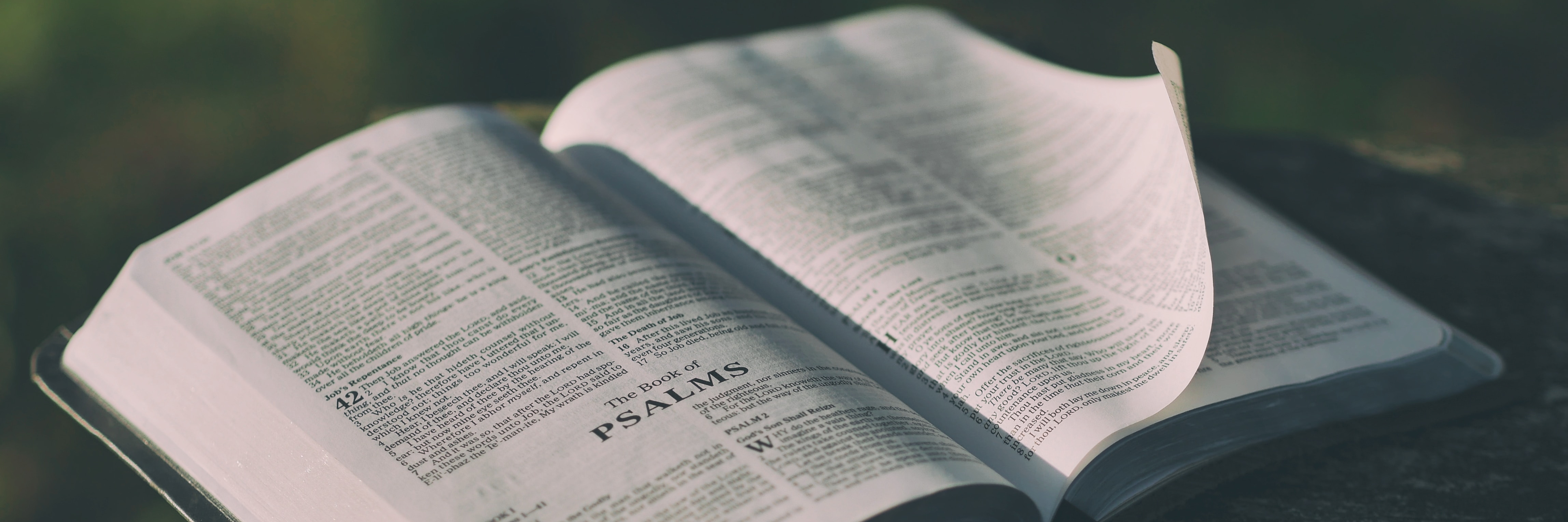 Psalms