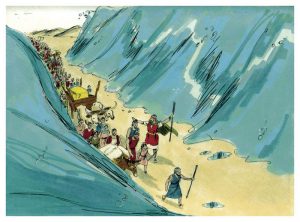 Red Sea