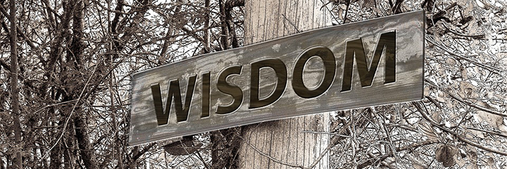 Wisdom