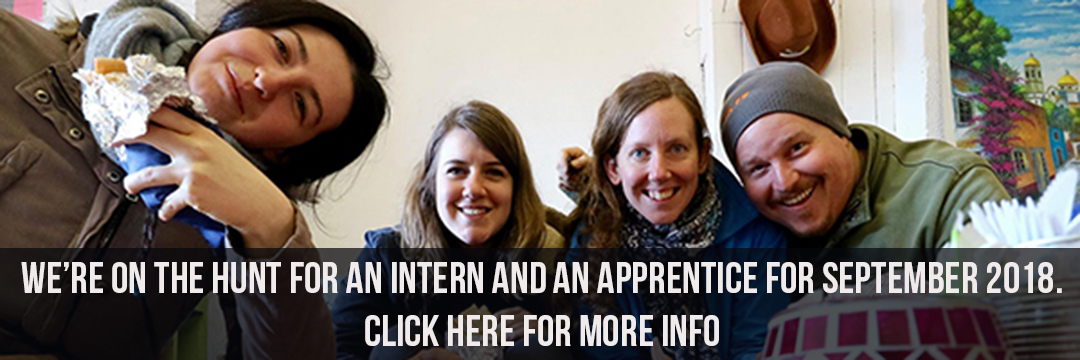 Internship & Apprenticeship