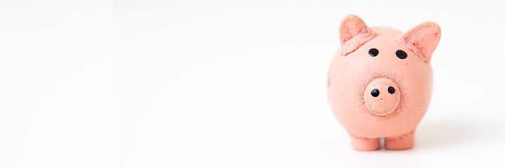 Piggy Bank