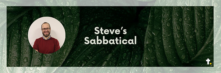 Steve Sabbactical