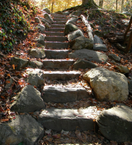 An Upward Journey