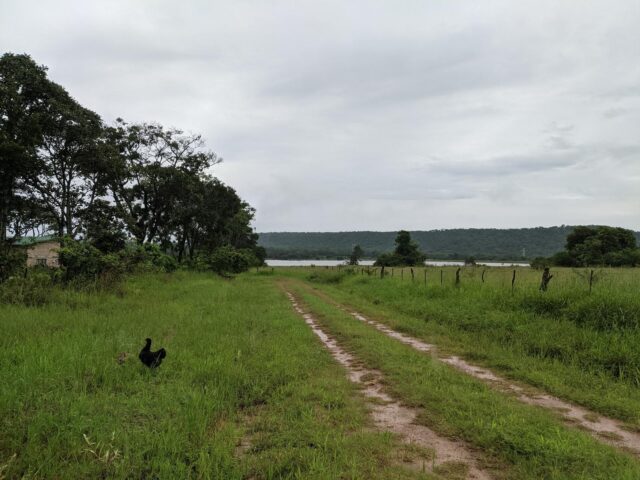 Mkushi Dam