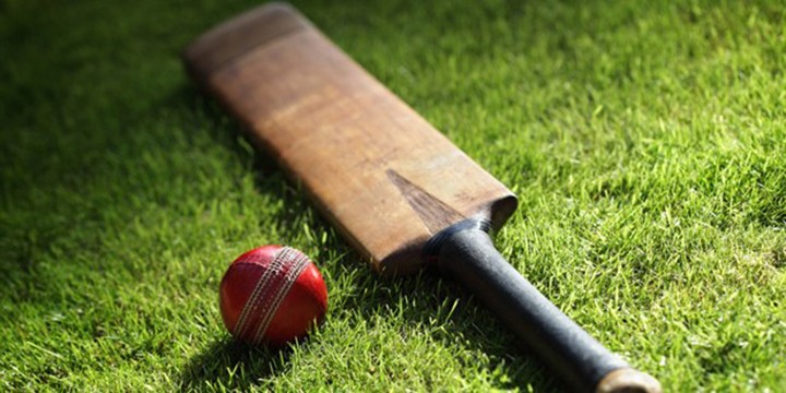 Cricket