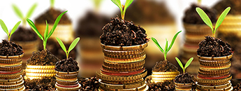 growing money