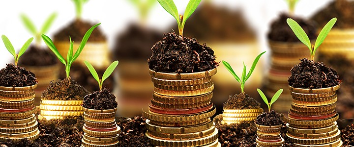 Growing money