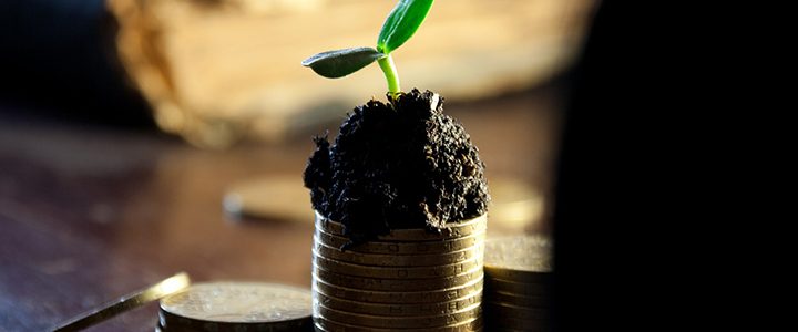 Growing money